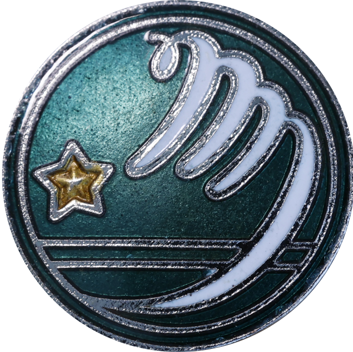 中学校  緑