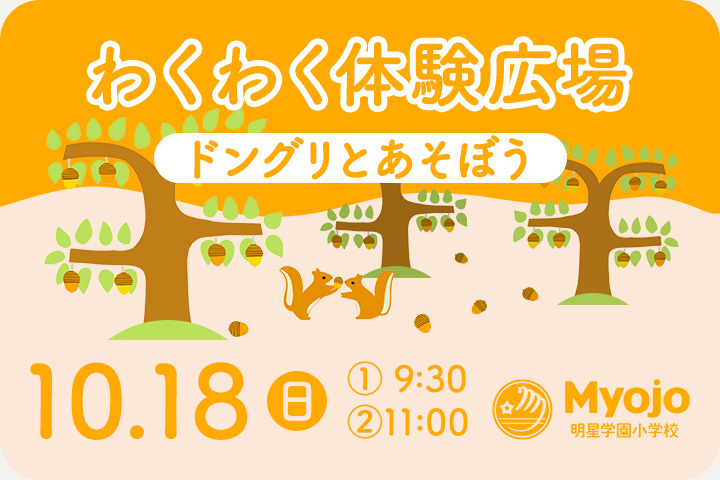 ドングリとあそぼう