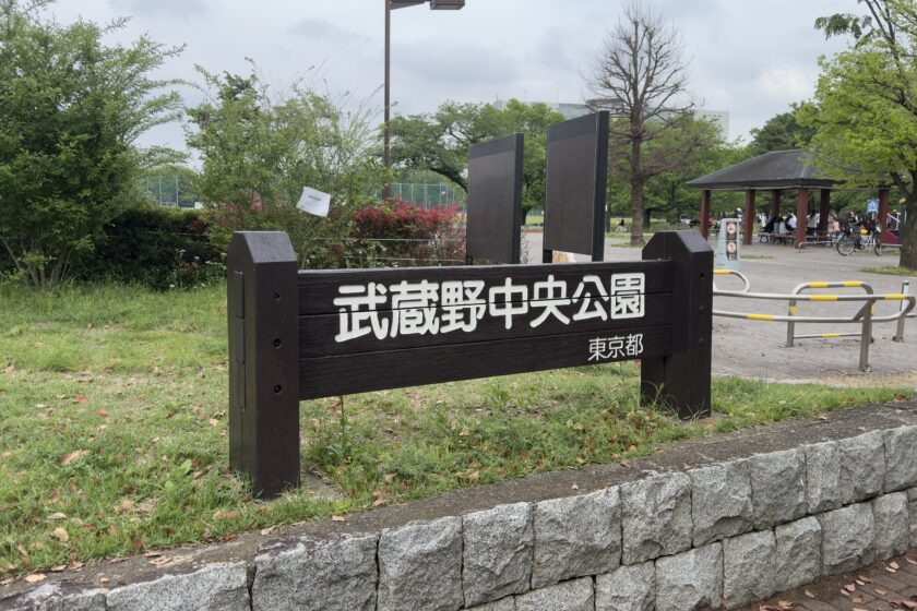 🌲学年交流会　〜7年生〜