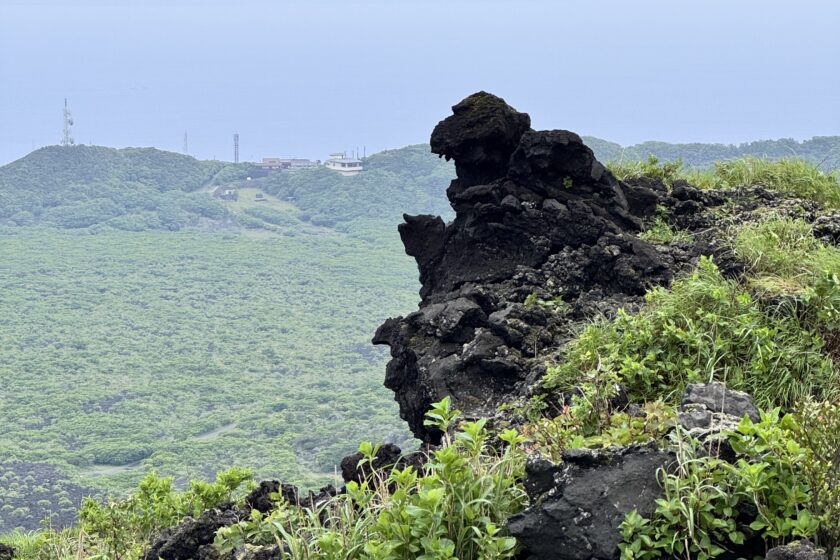 名残惜しい大島(最終日①)