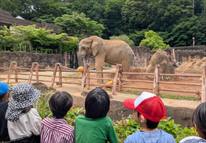 3年生 遠足「多摩動物公園に行こう」