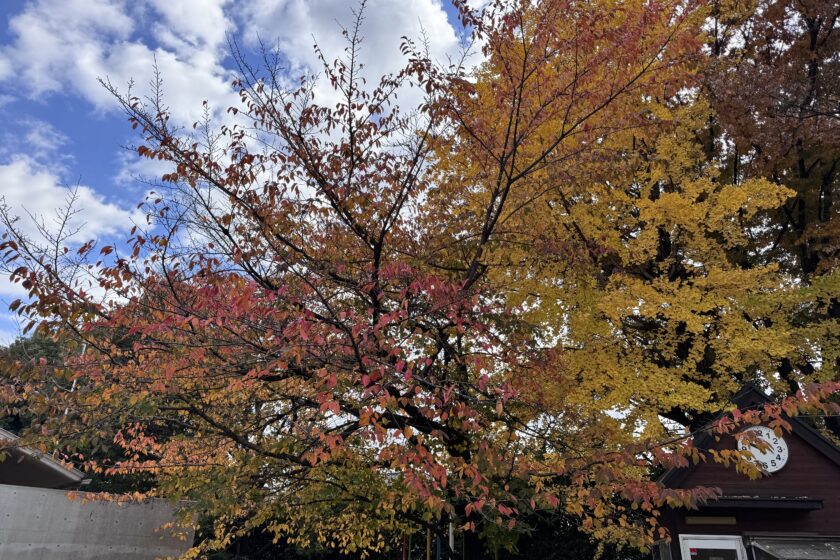 二学期も残りが少なくなりました！