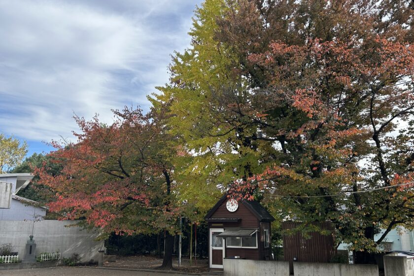 二次入試を実施します