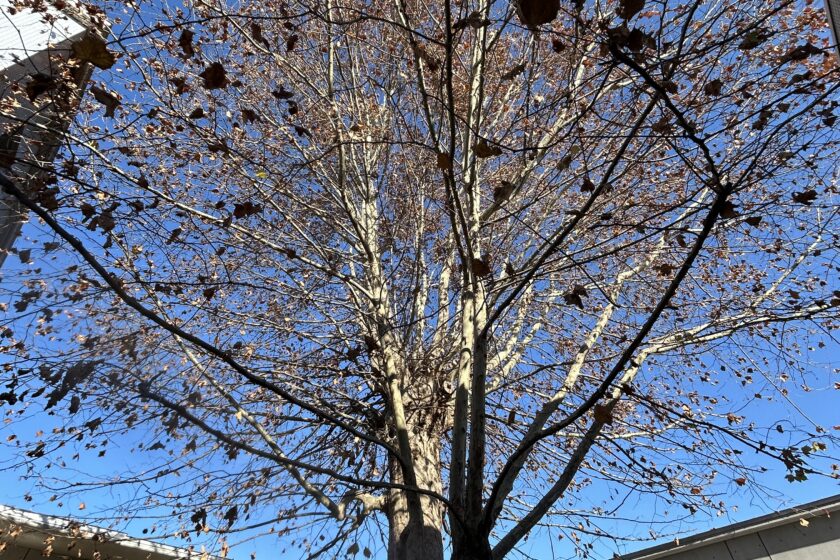 今学期も終了です