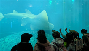 3年生　楽しかったバス遠足　葛西臨海公園へ