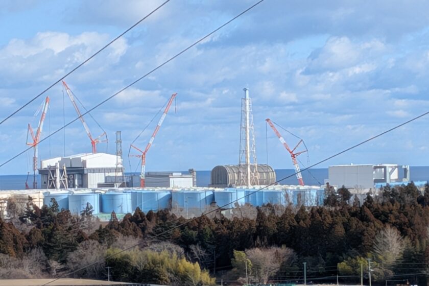 小学校演劇部公演『シュレーディンガーの猫』、そして福島視察『福島、その先の環境へ。』