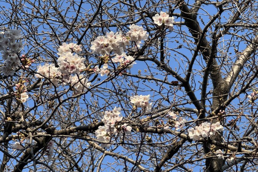 卒業式　校長祝辞