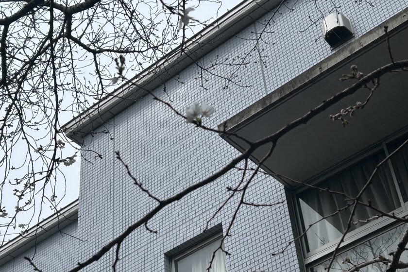 残り少ない3学期