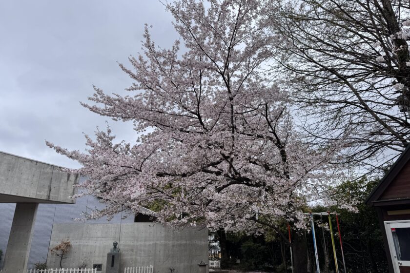 新たな一年が始まります。