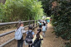 ２年生　玉川上水で野草観察