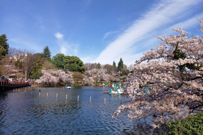 高校卒業式での「卒業生の言葉」にみる本当の「自己肯定感」の意味