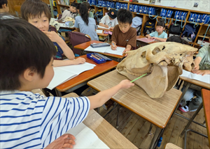 3年生　総合　動物の歯
