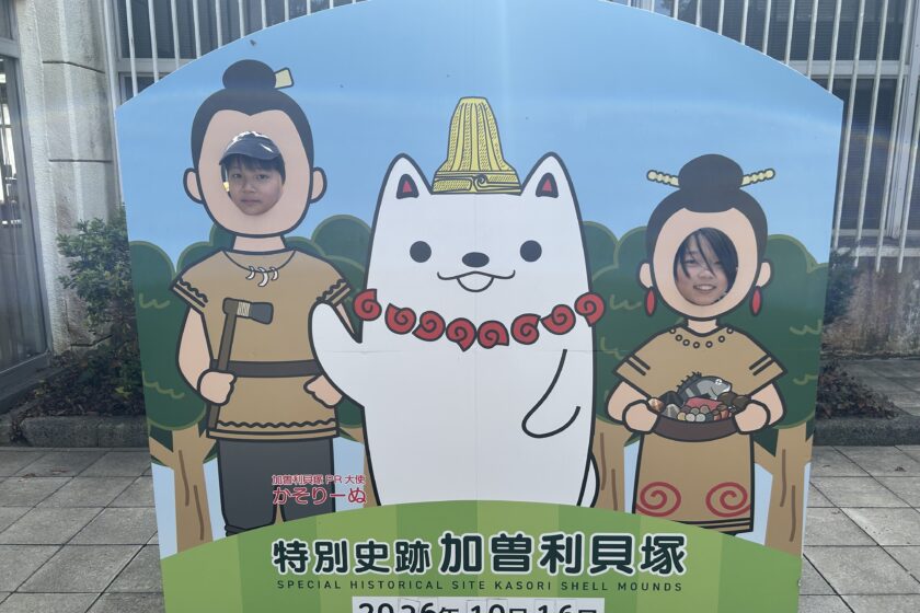 ５年生社会科　加曽利貝塚へ行ってきました！